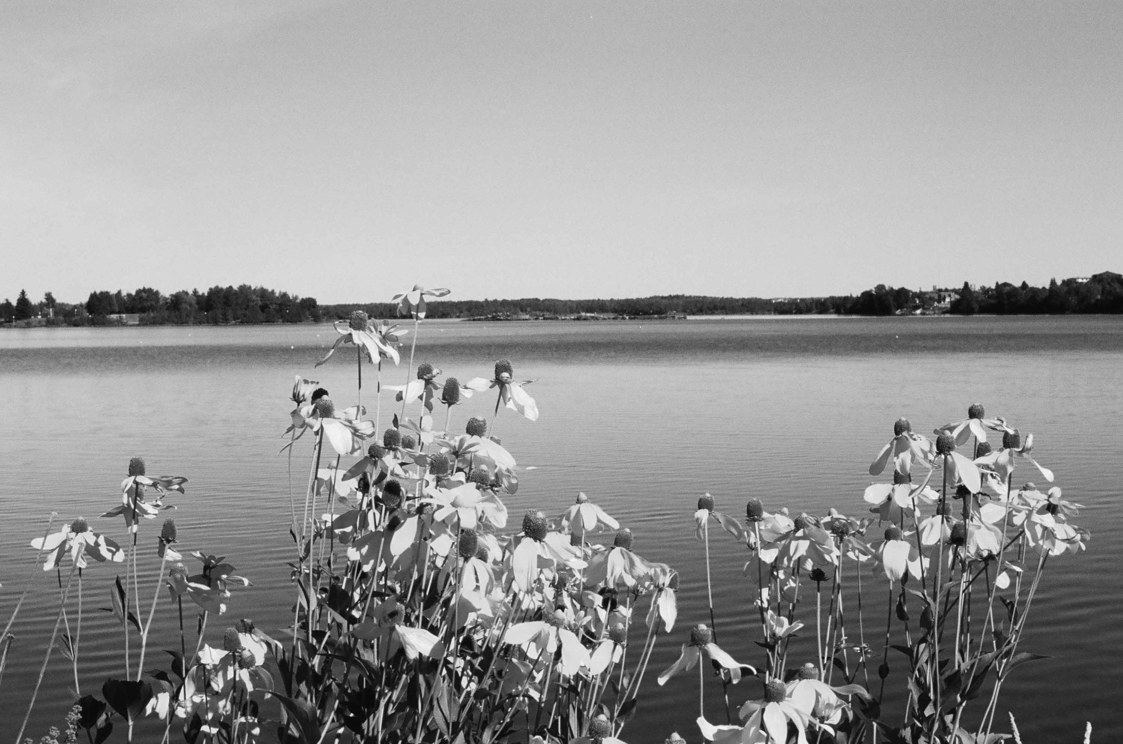 Le lac Osisko : réenchanter ce bien commun